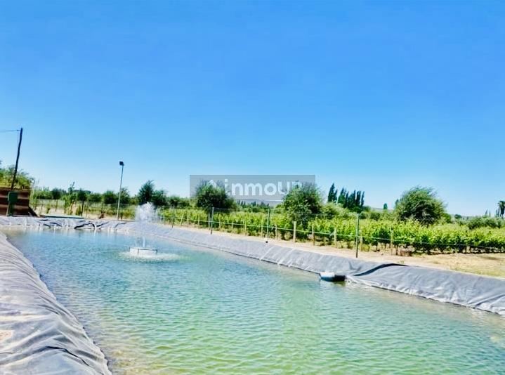 Lote en Venta en Maipu, Mendoza