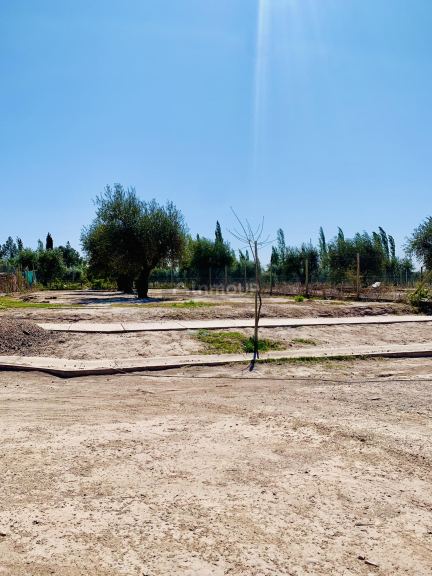 Lote en Venta en Maipu, Mendoza