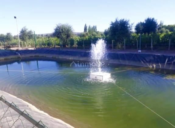 Lote en Venta en Maipu, Mendoza