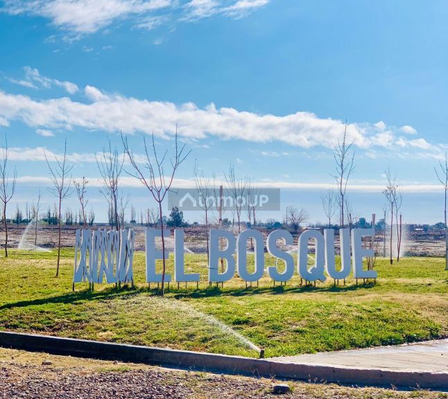 Lote en Venta en Maipu, Mendoza