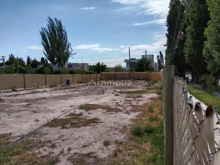 Lote en Venta en Lujan de Cuyo, Mendoza