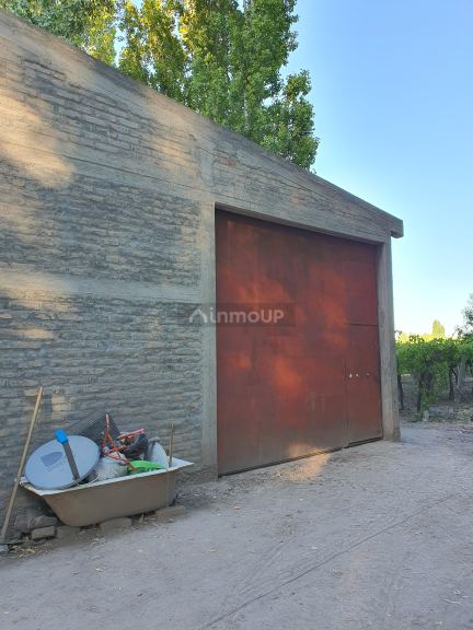 Viñedo en Venta en San Martin, Mendoza