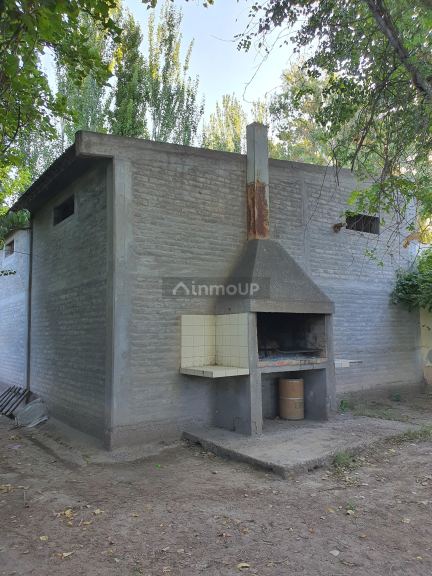Viñedo en Venta en San Martin, Mendoza