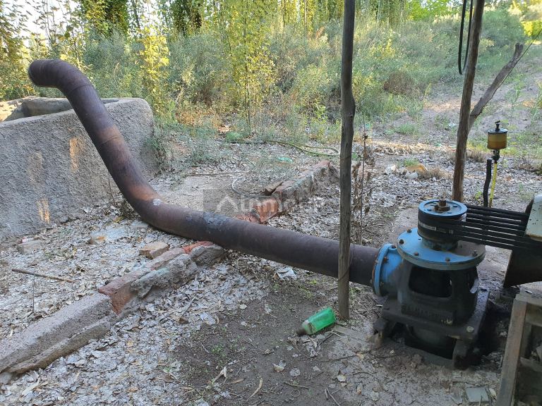 Viñedo en Venta en San Martin, Mendoza