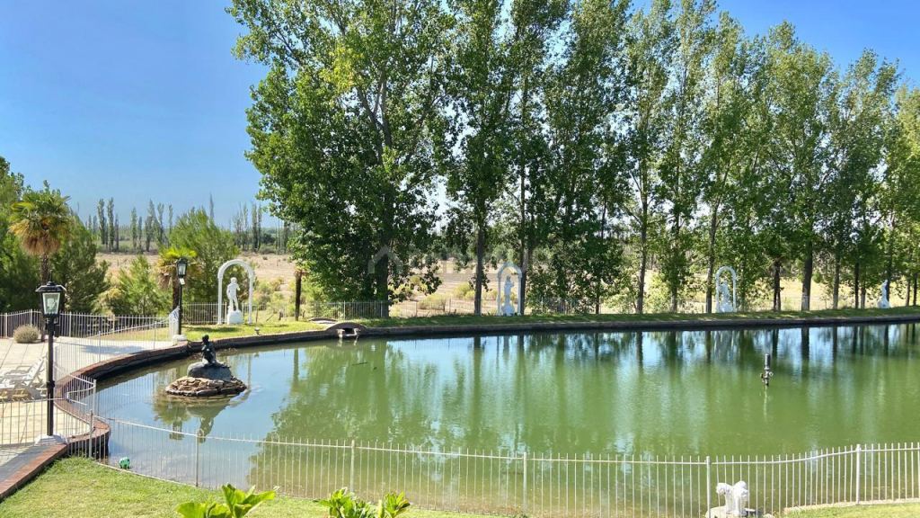 Finca en Venta en San Rafael, Mendoza