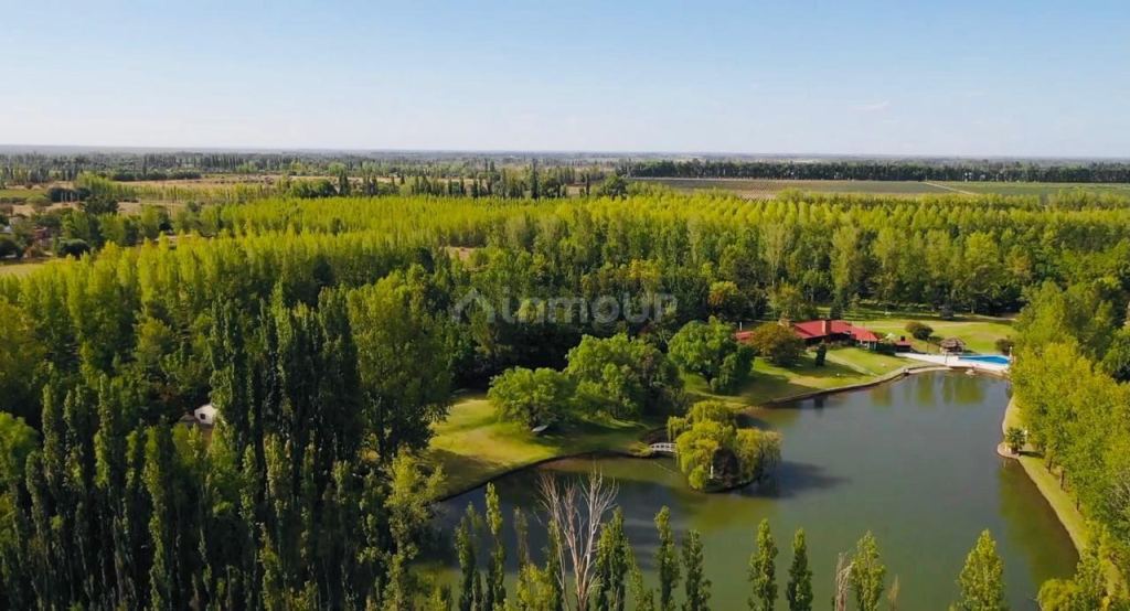 Finca en Venta en San Rafael, Mendoza