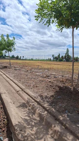 Terreno en Venta en Maipu, Mendoza