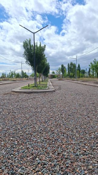 Terreno en Venta en Maipu, Mendoza