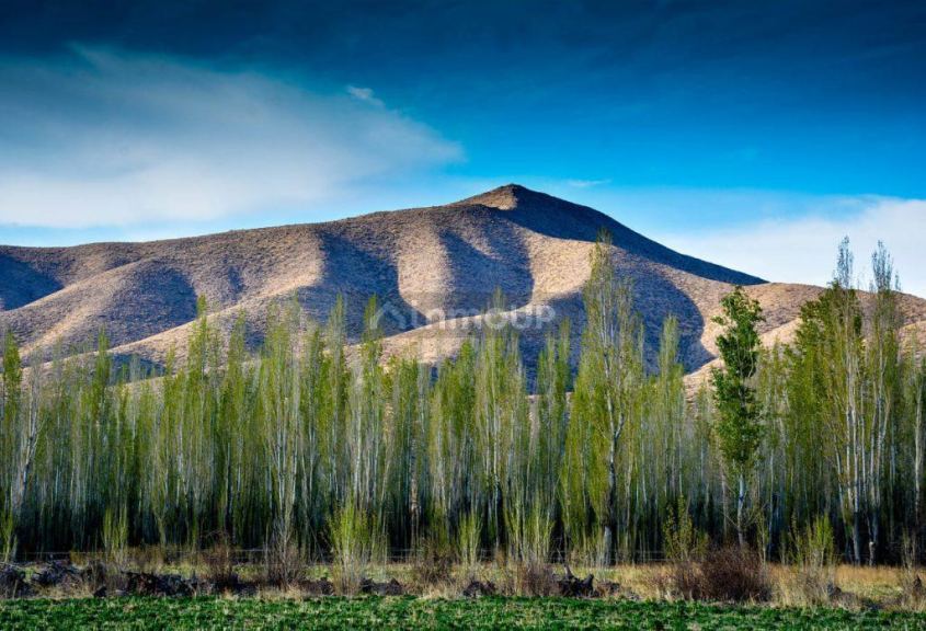Terreno en Venta en Las Heras, Mendoza