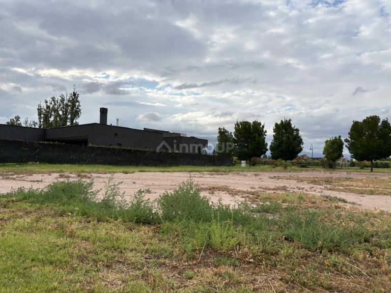 Terreno en Venta en Lujan de Cuyo, Mendoza