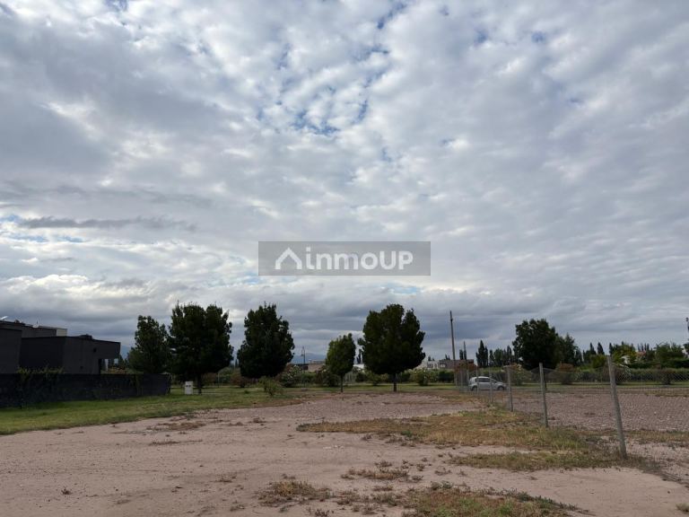 Terreno en Venta en Lujan de Cuyo, Mendoza