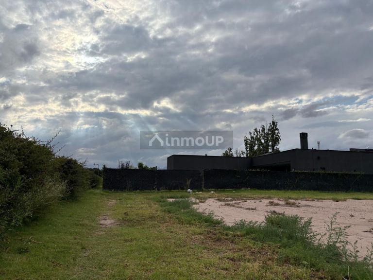 Terreno en Venta en Lujan de Cuyo, Mendoza