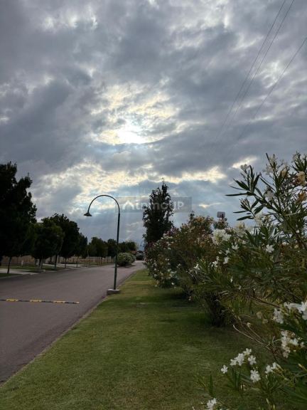 Terreno en Venta en Lujan de Cuyo, Mendoza