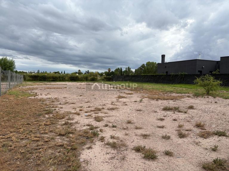 Terreno en Venta en Lujan de Cuyo, Mendoza