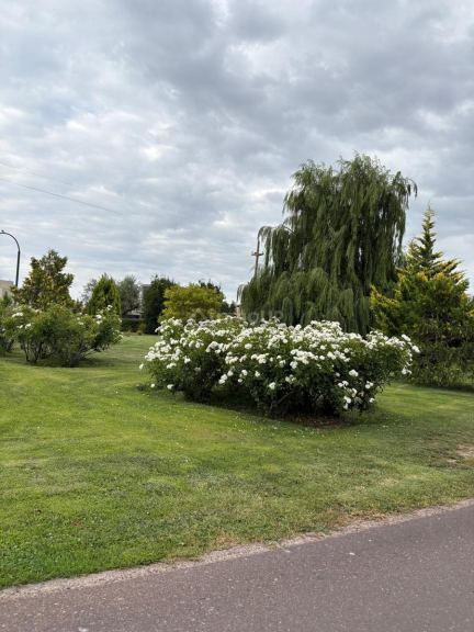 Terreno en Venta en Lujan de Cuyo, Mendoza