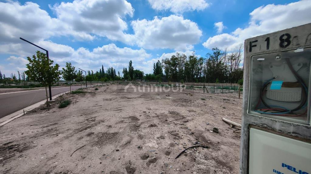 Terreno en Venta en Lujan de Cuyo, Mendoza