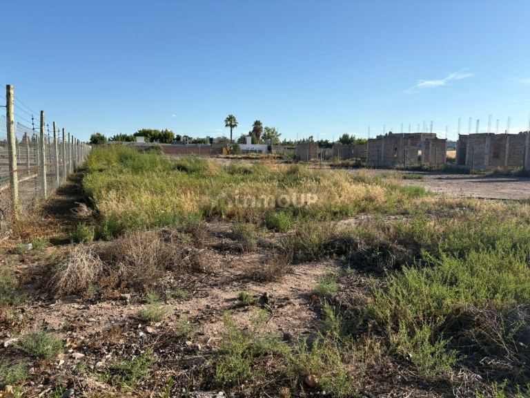 Terreno en Venta en Lujan de Cuyo, Mendoza