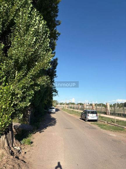 Terreno en Venta en Lujan de Cuyo, Mendoza
