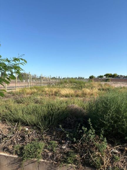 Terreno en Venta en Lujan de Cuyo, Mendoza