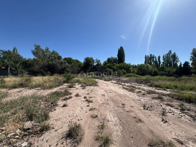 Terreno en Venta en Lujan de Cuyo, Mendoza