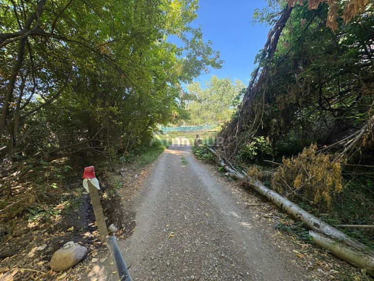 Terreno en Venta en Lujan de Cuyo, Mendoza