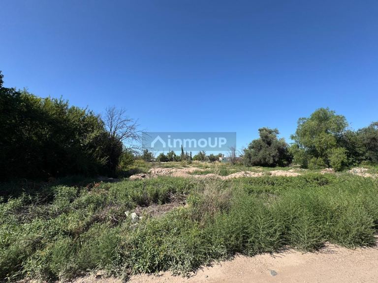 Terreno en Venta en Lujan de Cuyo, Mendoza