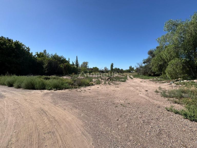 Terreno en Venta en Lujan de Cuyo, Mendoza
