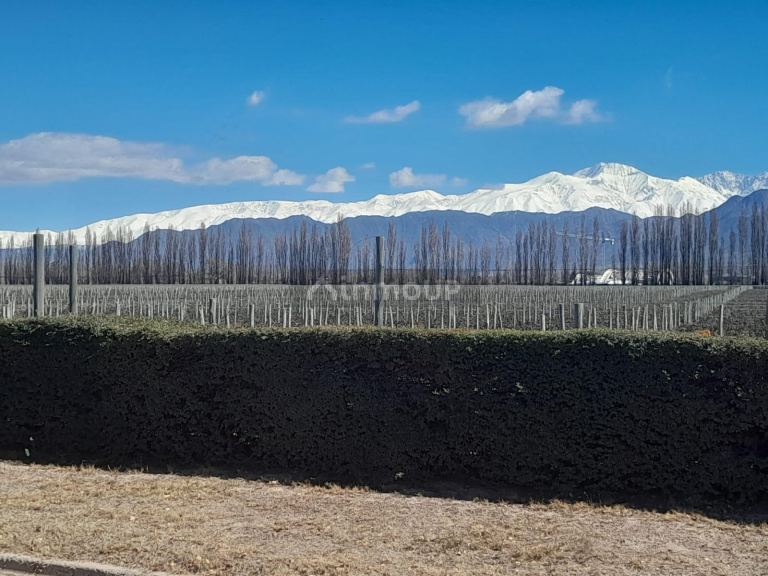 Casa en Venta en Lujan de Cuyo, Mendoza
