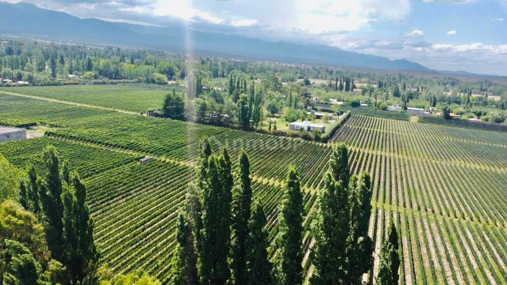 Departamento en Alquiler en Lujan de Cuyo, Mendoza