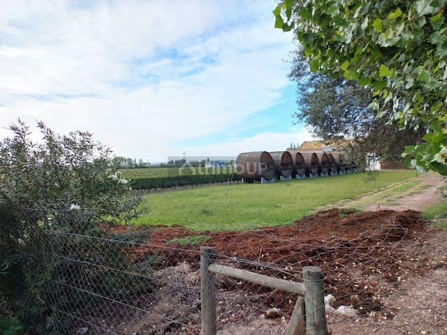 Departamento en Alquiler en Lujan de Cuyo, Mendoza