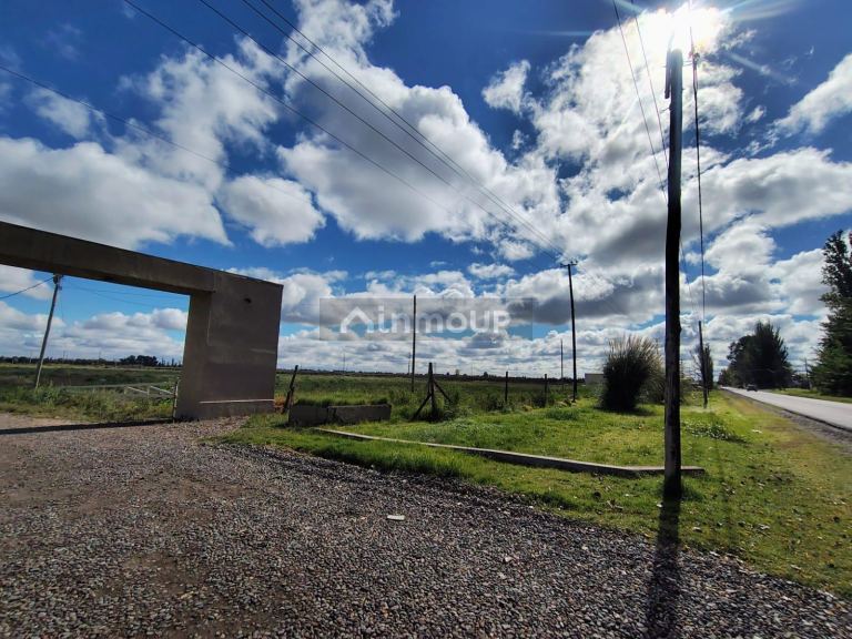 Terreno en Venta en San Martin, Mendoza