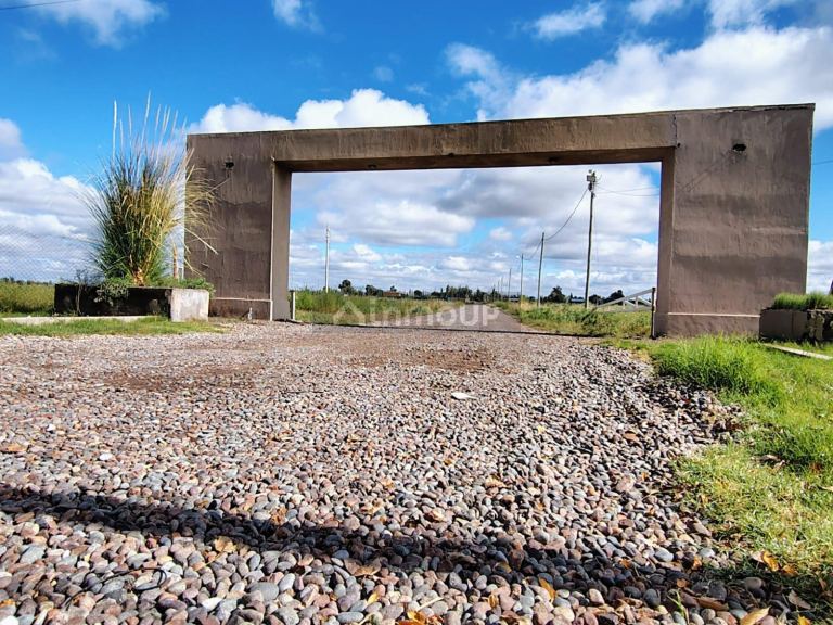 Terreno en Venta en San Martin, Mendoza