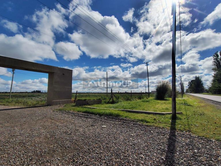 Terreno en Venta en San Martin, Mendoza