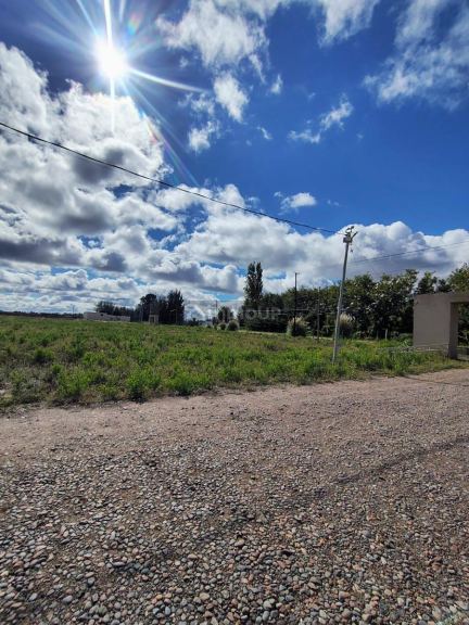 Terreno en Venta en San Martin, Mendoza