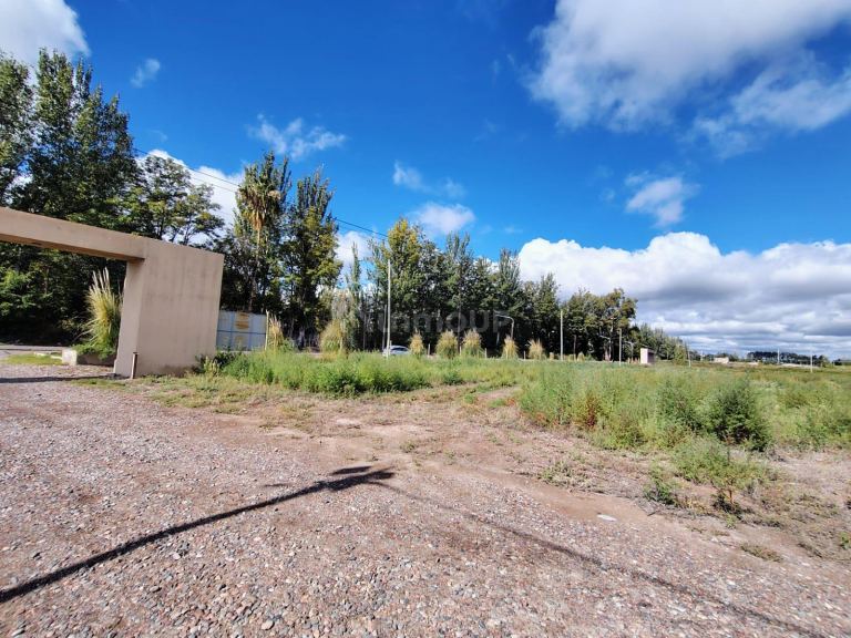 Terreno en Venta en San Martin, Mendoza