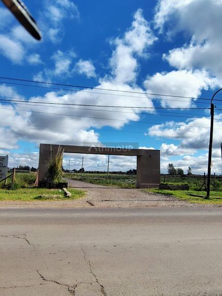 Terreno en Venta en San Martin, Mendoza