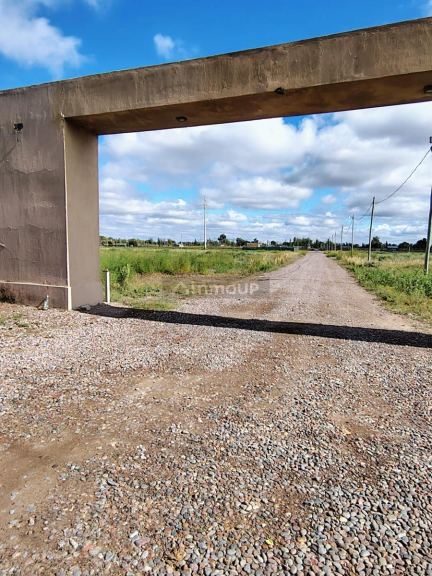 Terreno en Venta en San Martin, Mendoza