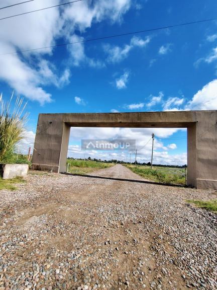 Terreno en Venta en San Martin, Mendoza