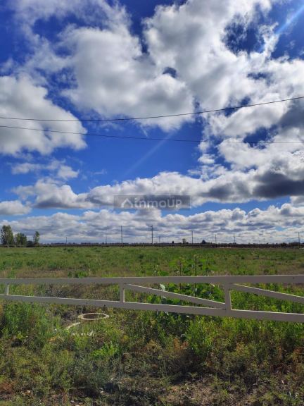 Terreno en Venta en San Martin, Mendoza