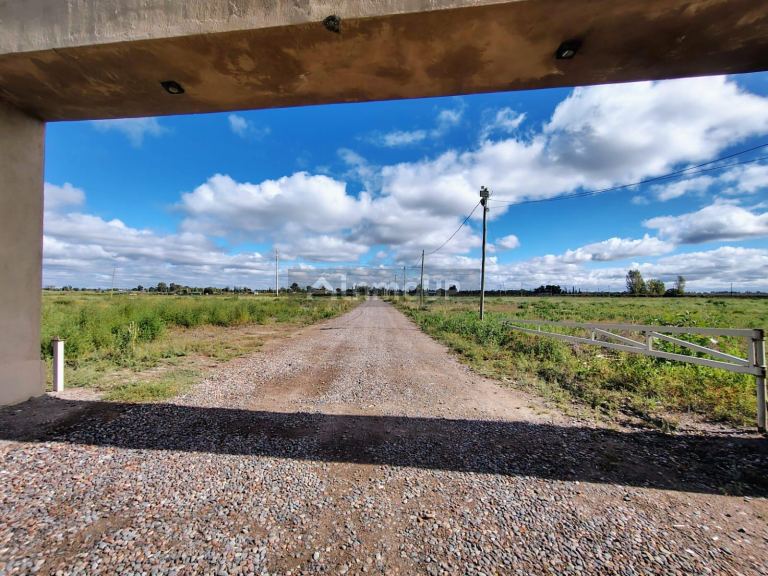 Terreno en Venta en San Martin, Mendoza