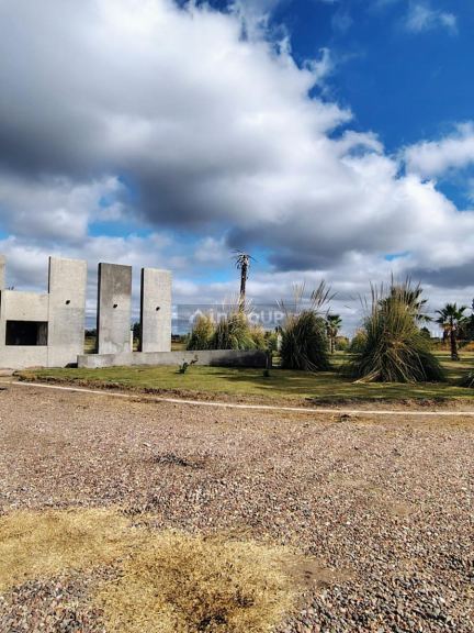 Terreno en Venta en Junin, Mendoza