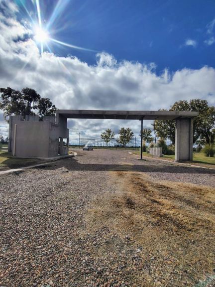 Terreno en Venta en Junin, Mendoza