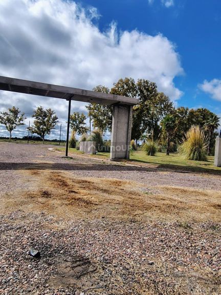Terreno en Venta en Junin, Mendoza