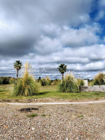 Terreno en Venta en Junin, Mendoza