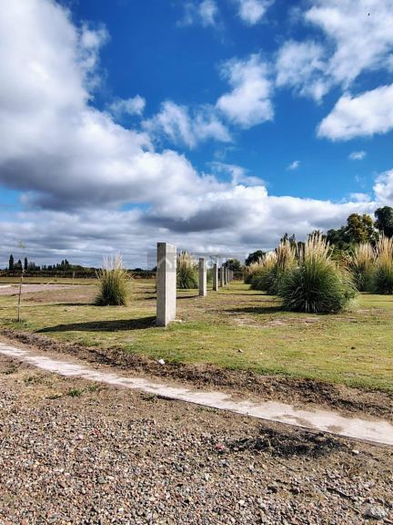 Terreno en Venta en Junin, Mendoza