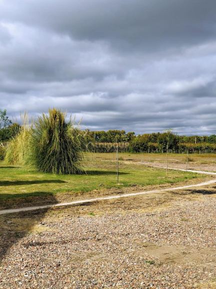 Terreno en Venta en Junin, Mendoza