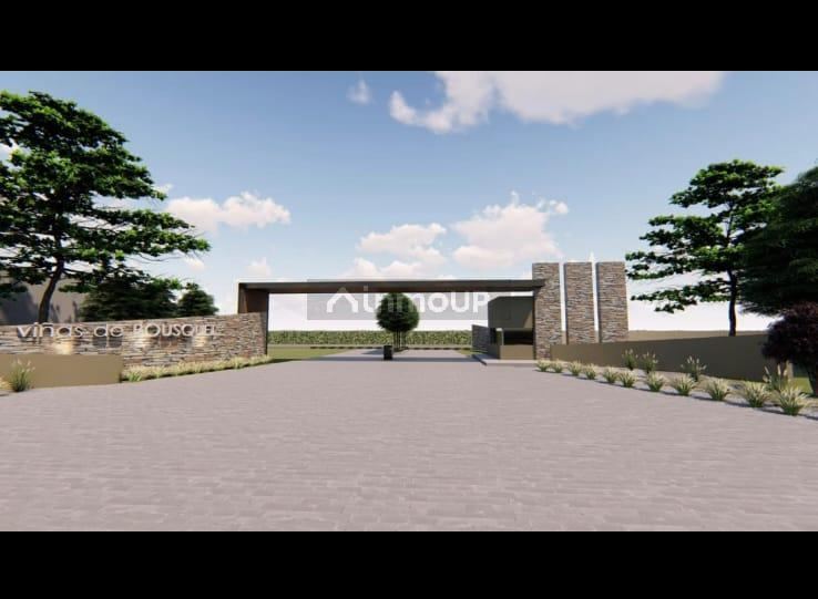 Terreno en Venta en Junin, Mendoza