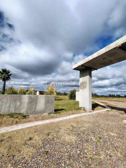 Terreno en Venta en Junin, Mendoza