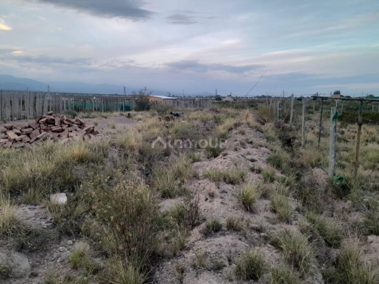 Terreno en Venta en Lujan de Cuyo, Mendoza