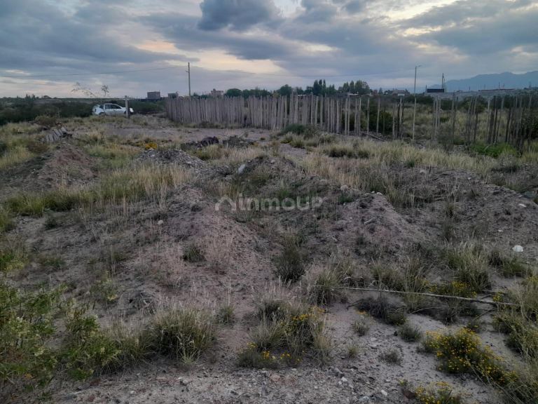 Terreno en Venta en Lujan de Cuyo, Mendoza